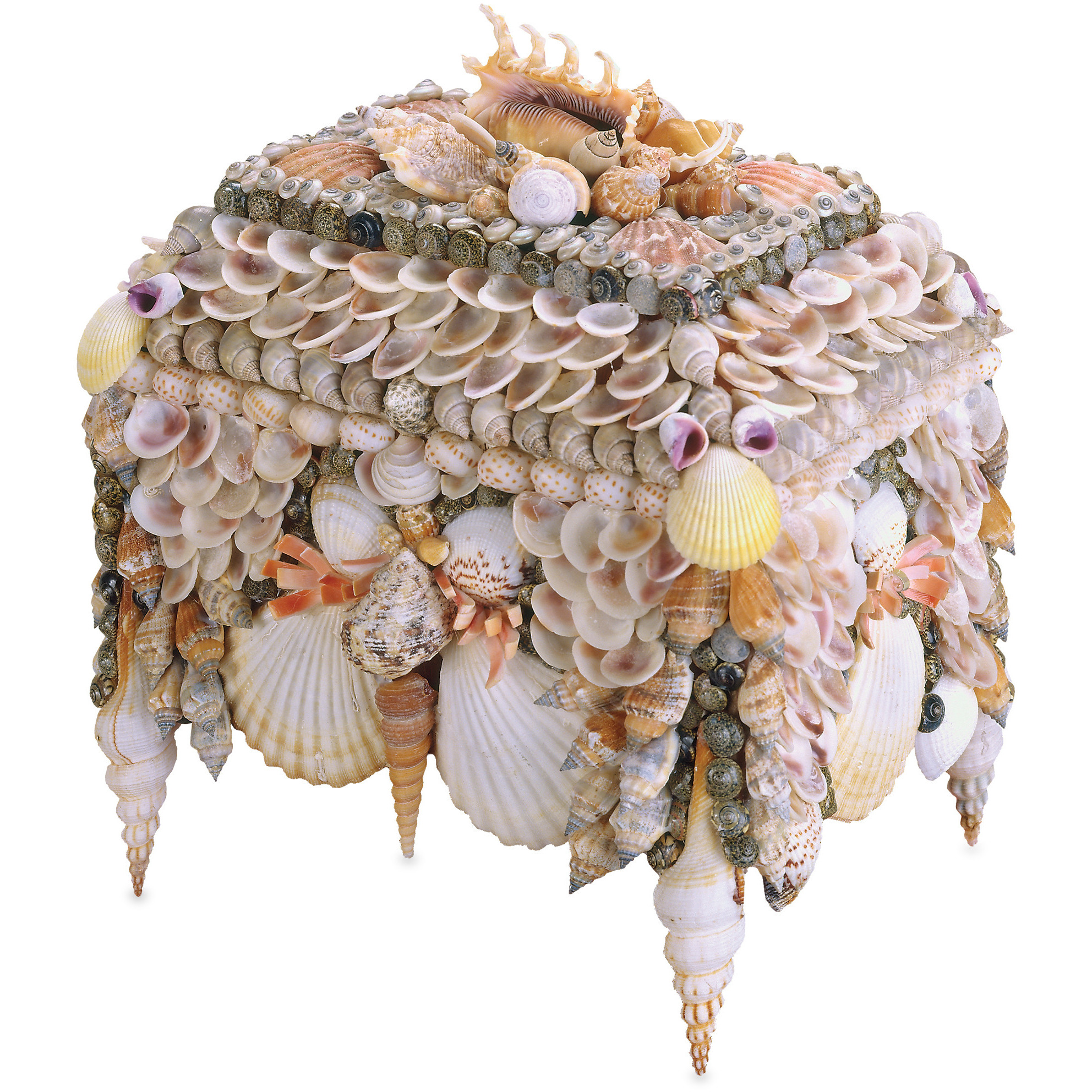 Boardwalk Shell 10 inch Natural Jewelry Box